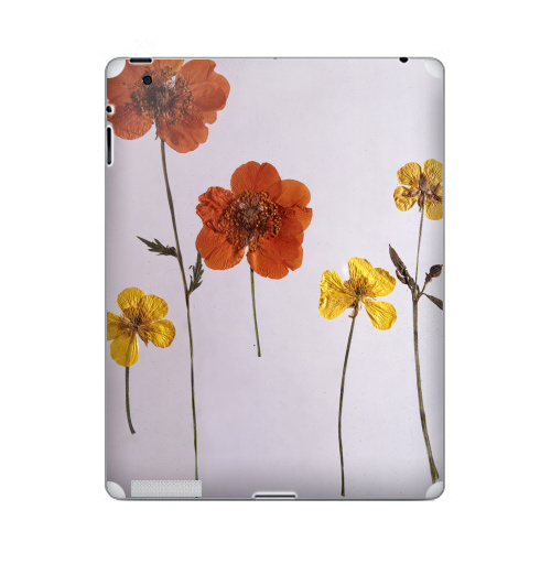 Наклейка на Планшет Apple iPad 2 / iPad 3 Ромашки,  купить в Москве – интернет-магазин Allskins, цветы, ромашки, фотография, натуральное, без фотошопа