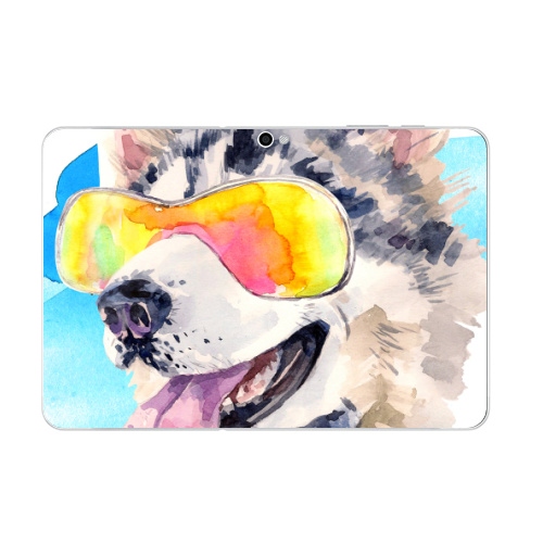 Наклейка на Планшет Samsung Galaxy Tab 10.1 (P7500) Хаски сноубордист,  купить в Москве – интернет-магазин Allskins, крутые животные, мило, животные, персонажи, собаки, хаски, акварель, детские, соба, милые животные