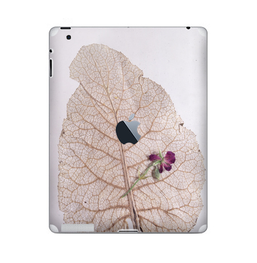 Наклейка на Планшет Apple iPad 2 / iPad 3 The new c яблоком Папортник,  купить в Москве – интернет-магазин Allskins, цветы, листья, фотография, безобработки, лапух