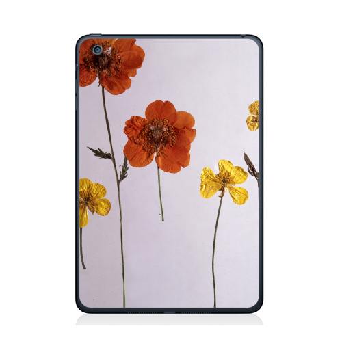 Наклейка на Планшет Apple iPad Mini 4 Ромашки,  купить в Москве – интернет-магазин Allskins, цветы, ромашки, фотография, натуральное, без фотошопа