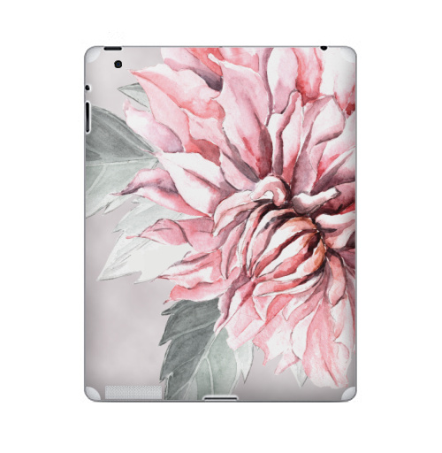 Наклейка на Планшет Apple iPad 4 Retina Георгины,  купить в Москве – интернет-магазин Allskins, акварель, пастель, пастельный, пастельные, нежно, розовый, георгин, сиреневый, крупный, запечатка