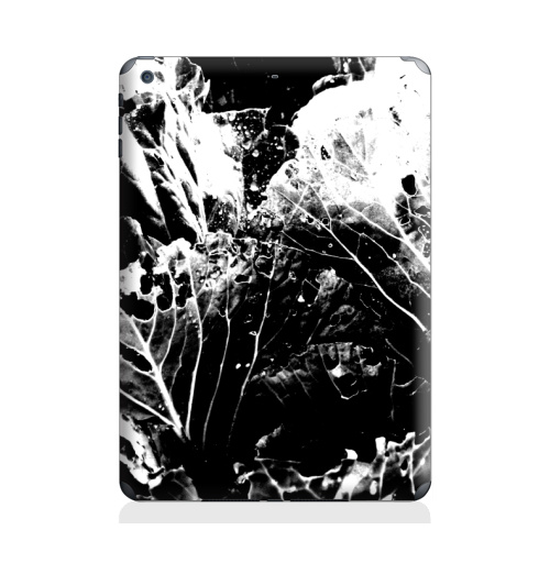 Наклейка на Планшет Apple iPad Air Растительное,  купить в Москве – интернет-магазин Allskins, черно-белое, лесной, природа, листья, Темная, черный, графика, растительный, растение