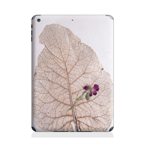 Наклейка на Планшет Apple iPad Air Папортник,  купить в Москве – интернет-магазин Allskins, цветы, листья, фотография, безобработки, лапух