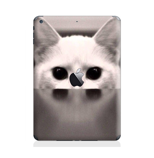 Наклейка на Планшет Apple iPad Air с яблоком Сквозь...,  купить в Москве – интернет-магазин Allskins, черно-белый, киса, кошка, глаз, фотография