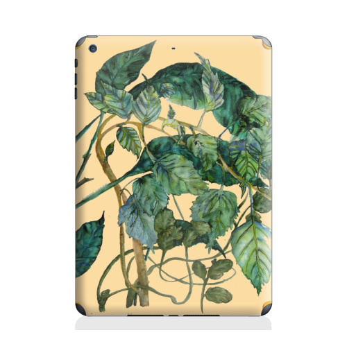 Наклейка на Планшет Apple iPad Air 2 Путаница,  купить в Москве – интернет-магазин Allskins, акварель, листья, зеленый, флора, лес