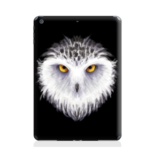Наклейка на Планшет Apple iPad Air 2 Зимняя сова,  купить в Москве – интернет-магазин Allskins, птицы, сова