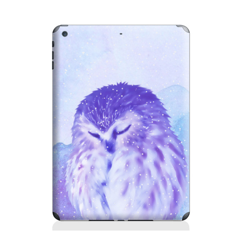 Наклейка на Планшет Apple iPad Air 2 Сова не спит, сова дремлет,  купить в Москве – интернет-магазин Allskins, акварель, птицы, зима, снег, сова