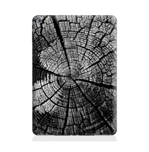Наклейка на Планшет Apple iPad Air 2 Кольца жизни,  купить в Москве – интернет-магазин Allskins, лес, деревья, лесной, черно-белое, графика, серый, черный