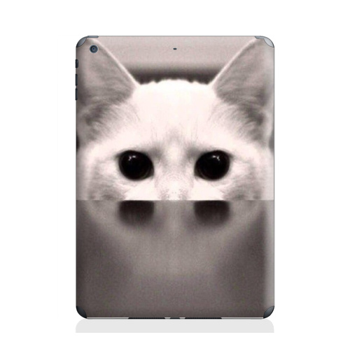 Наклейка на Планшет Apple iPad Air 2 Сквозь...,  купить в Москве – интернет-магазин Allskins, черно-белый, киса, кошка, глаз, фотография