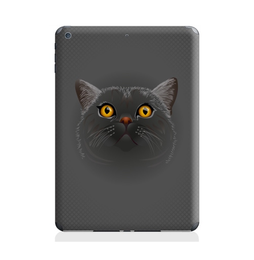 Наклейка на Планшет Apple iPad Air 2 Котик любопытный,  купить в Москве – интернет-магазин Allskins, кошка, животные, позитив, ночь, Новые, теплый