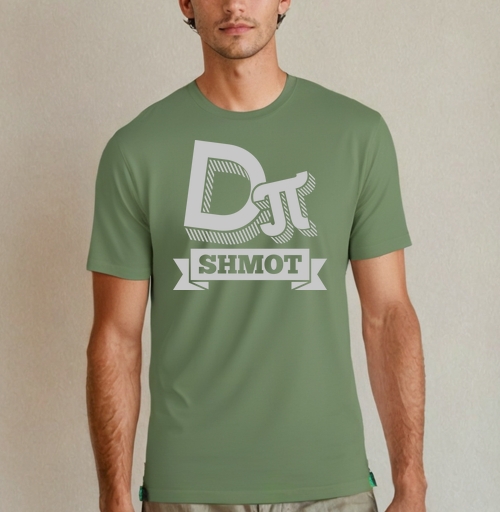 Фотография футболки DIPI Shmot