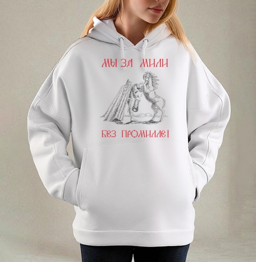 Фотография футболки Богатырский конь