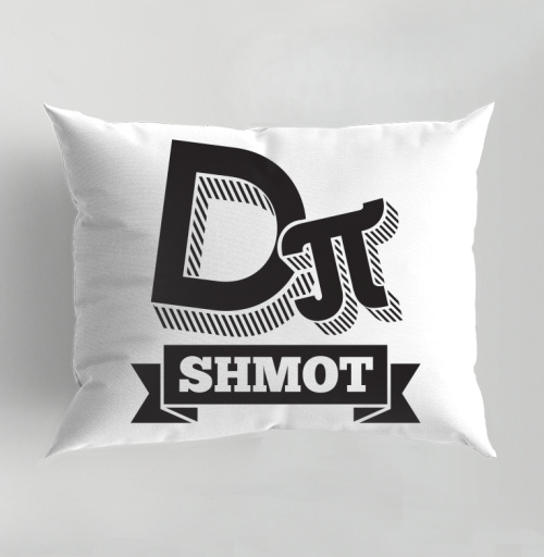 Фотография футболки DIPI Shmot