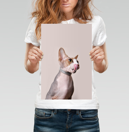 Фотография футболки Кот-сексапил