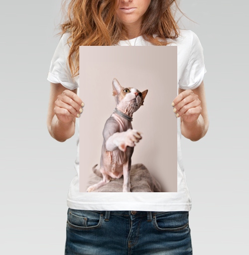 Фотография футболки Кот-рэпер