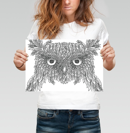 Фотография футболки OLD OWL / СТАРАЯ СОВА