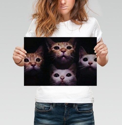 Фотография футболки Кошачая рапсодия