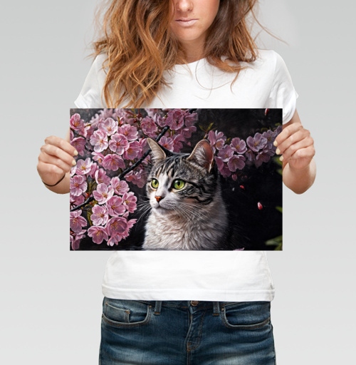 Фотография футболки Cat in sakura – Полосатый кот среди розовых лепестков Кот сакура вишня