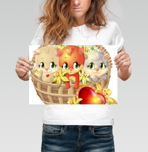 Фотография футболки Киски в корзинке