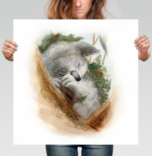 Фотография футболки Спящий коала