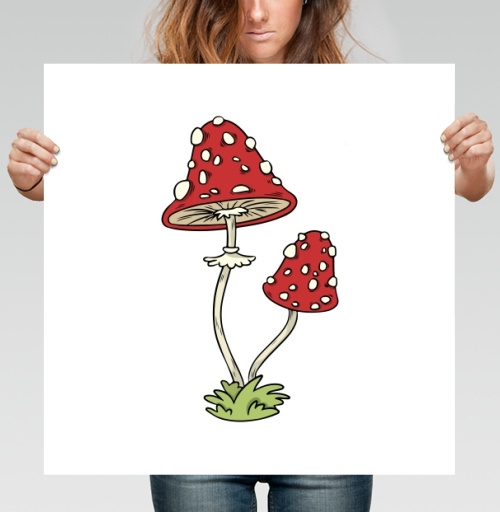 Фотография футболки Mushrooms Грибочки