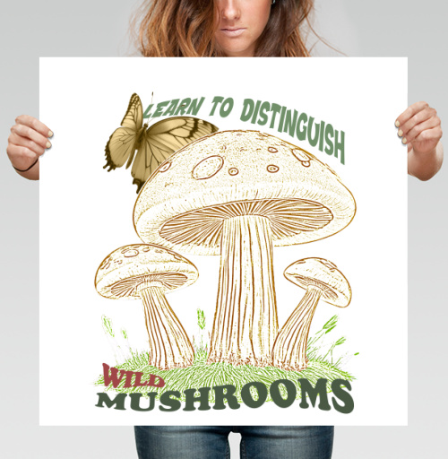 Фотография футболки Учись отличать дикие грибы Learn To Distinguish Wild Mushrooms