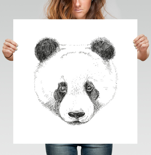 Фотография футболки Panda / Панда