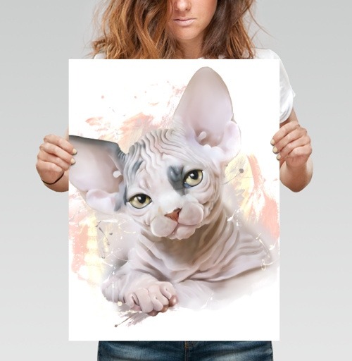 Фотография футболки Очаровательный котёнок