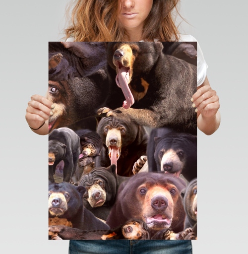 Фотография футболки Солнечные мишы