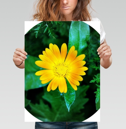 Фотография футболки Цветок