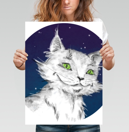 Фотография футболки Кот Бормот