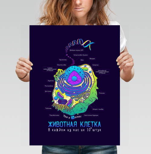 Фотография футболки Животная клетка в цвете