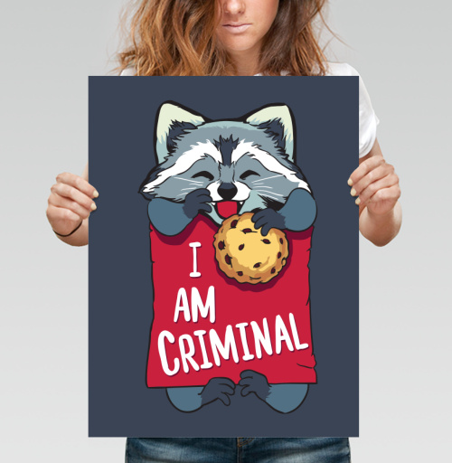 Фотография футболки Милая футболка с енотом и надписью I AM CRIMINAL