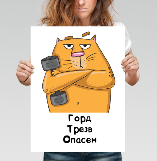 Фотография футболки Оранжевый Кот с Гантелей и Текстом Горд Трезв Опасен