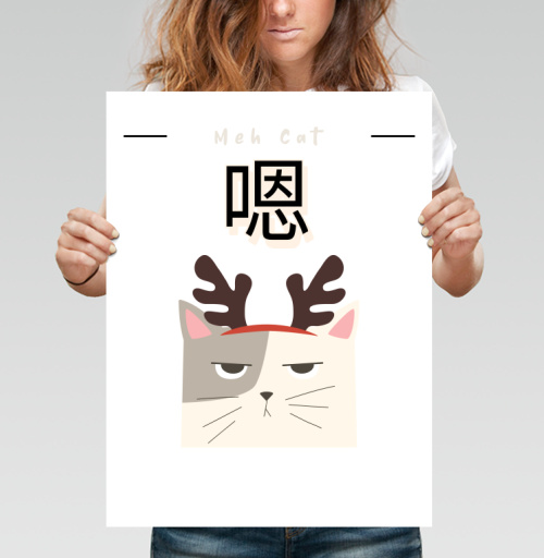 Фотография футболки Милый угрюмый кот с рожками «Meh Cat»