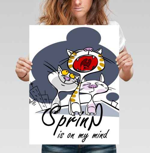 Фотография футболки Spring