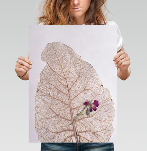 Фотография футболки Dry Leaf with Purple Flower – Засушенный лист с цветком на фоне