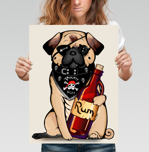 Фотография футболки Pirate pug