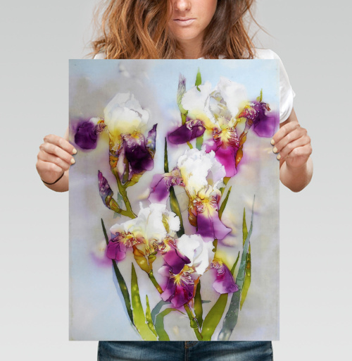 Фотография футболки Живописные светлые растения украшают композицию букет весенних ирисов