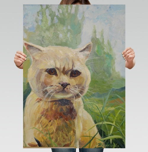 Фотография футболки Котик