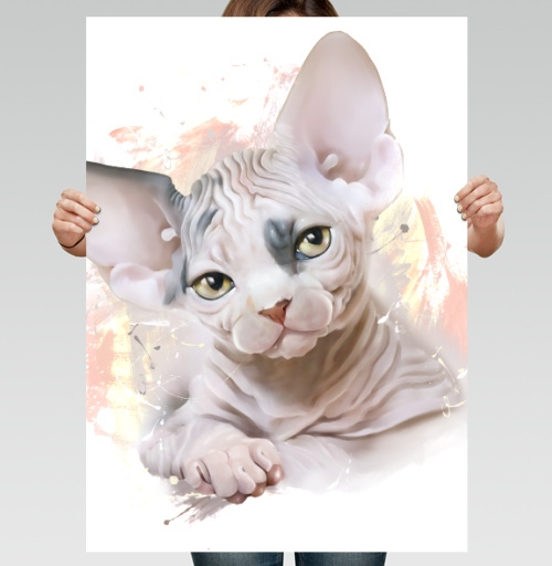 Фотография футболки Очаровательный котёнок