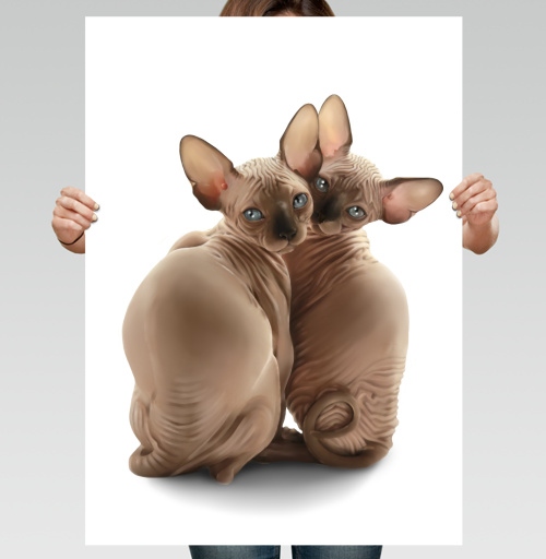 Фотография футболки Мы как котики- обиделись...