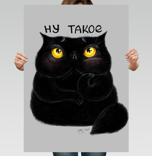 Фотография футболки Ну такой кот