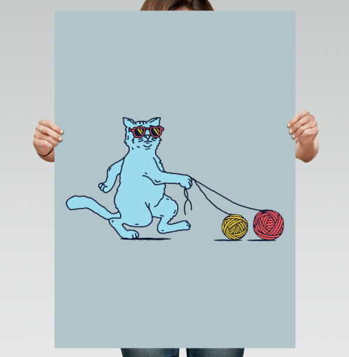 Фотография футболки Кот на прогулке
