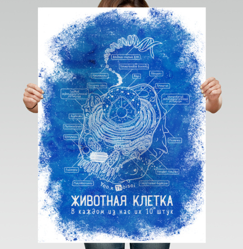 Фотография футболки Животная клетка в голубом