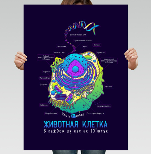 Фотография футболки Животная клетка в цвете