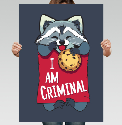 Фотография футболки Милая футболка с енотом и надписью I AM CRIMINAL
