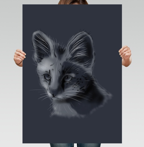 Фотография футболки Дикий кот