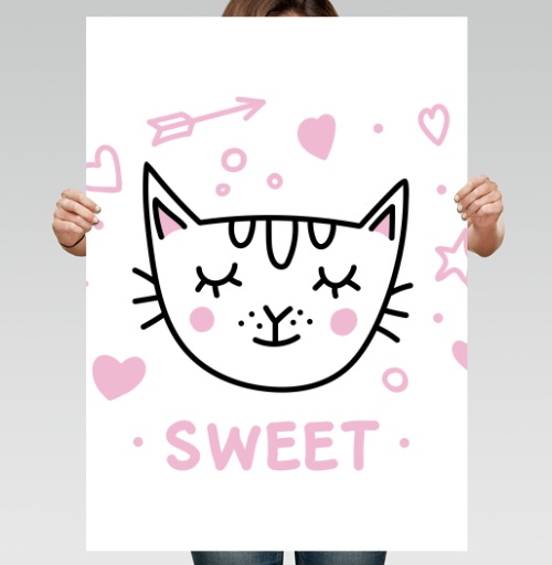 Фотография футболки Кот с розовыми щечками милый и нежный SWEET