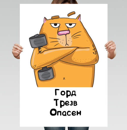 Фотография футболки Оранжевый Кот с Гантелей и Текстом Горд Трезв Опасен